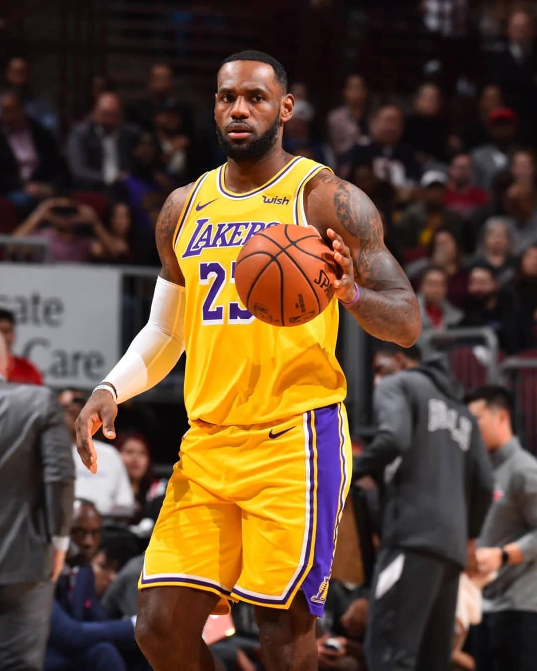 的稳定输出 的稳定输出