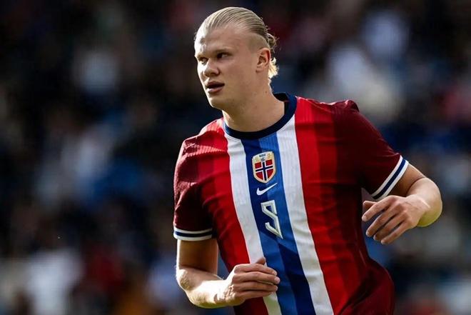 回合的执行 回合的执行