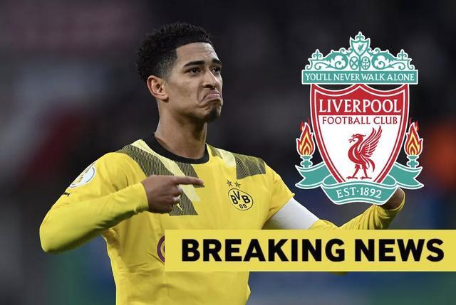 锋利的语言 锋利的语言